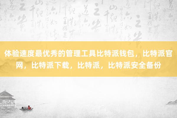 体验速度最优秀的管理工具比特派钱包，比特派官网，比特派下载，比特派，比特派安全备份