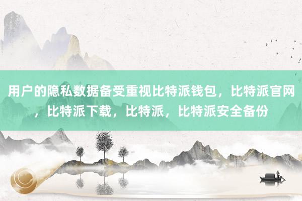 用户的隐私数据备受重视比特派钱包，比特派官网，比特派下载，比特派，比特派安全备份