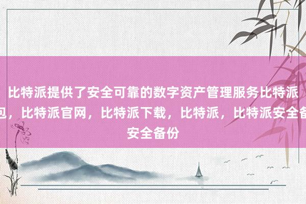 比特派提供了安全可靠的数字资产管理服务比特派钱包，比特派官网，比特派下载，比特派，比特派安全备份