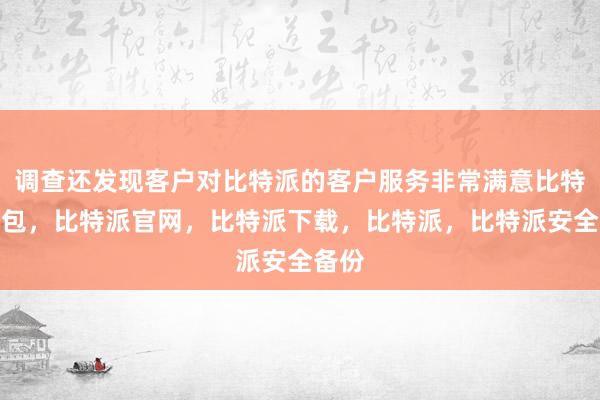 调查还发现客户对比特派的客户服务非常满意比特派钱包，比特派官网，比特派下载，比特派，比特派安全备份