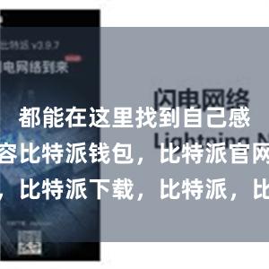 都能在这里找到自己感兴趣的内容比特派钱包，比特派官网，比特派下载，比特派，比特派安全备份