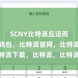 SCNY比特派应运而生比特派钱包，比特派官网，比特派下载，比特派，比特派安全备份