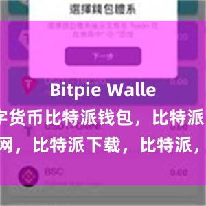 Bitpie Wallet支持多种数字货币比特派钱包，比特派官网，比特派下载，比特派，比特派安全备份