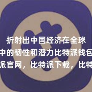 折射出中国经济在全球经济波动中的韧性和潜力比特派钱包，比特派官网，比特派下载，比特派，比特派安全备份